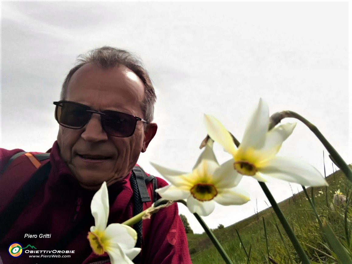 73 ...tra narcisi.jpg